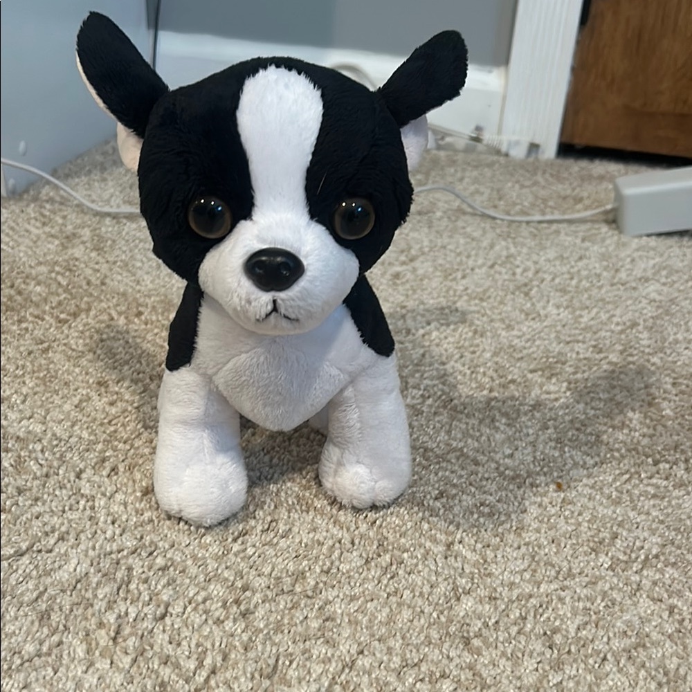 Webkinz Tuxedo Chihuahua
